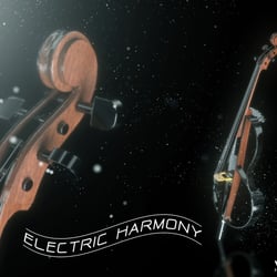 visKom still Detail Cello Print