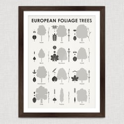 Identification Chart European Foliage Trees