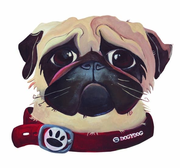 Mops