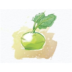 010 Food
