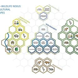 Infografik – Human—Wildlife Nexus 2