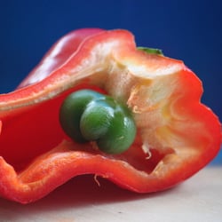 Food Fotografie 2012 Paprika in Farbe No 09