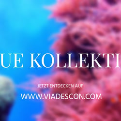 Coral Reef Collection 2020