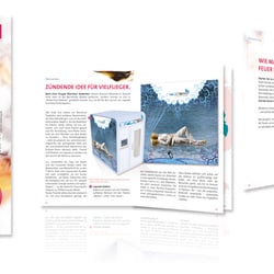 Konzeption, Layout und Design Agenturguide, b.a. Werbung, 2008