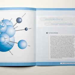 Nexus Neuronia – Modulare Publikation zur Neurowissenschaft – Molekualre Neurobiologie