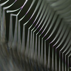 Spinnennetz mit Tautropfen