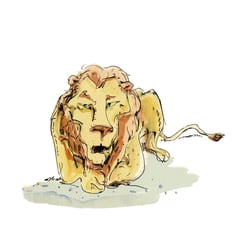 lion