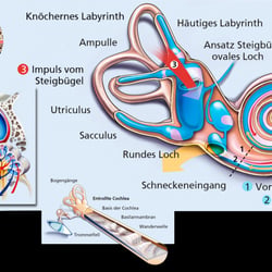 17. Medizinillu