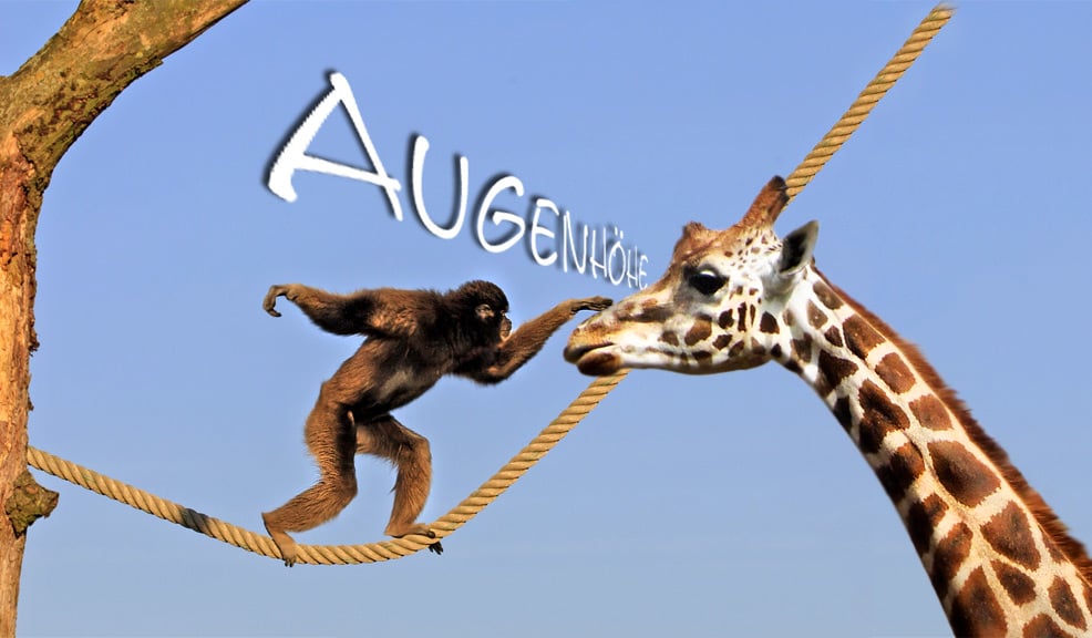 Auf Augenhöhe
