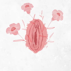 vulva nr 1