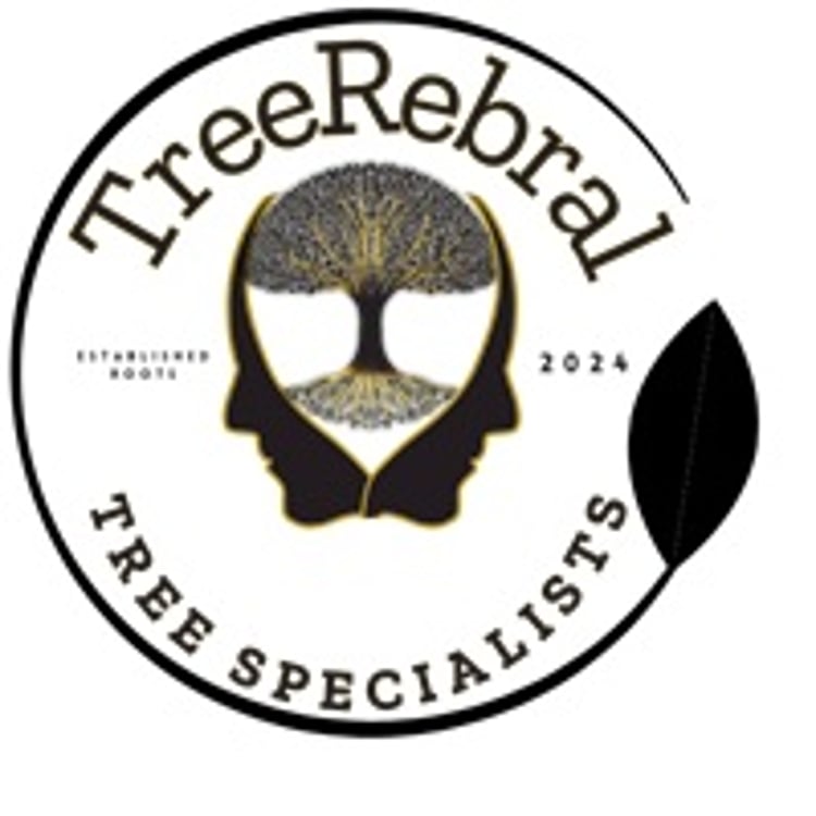 Tree Rebral