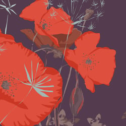 Mohn