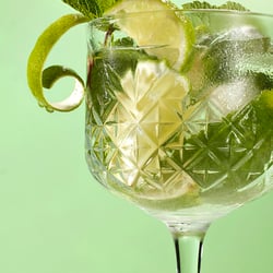 gin tonic web