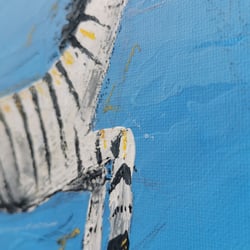 Zebra.