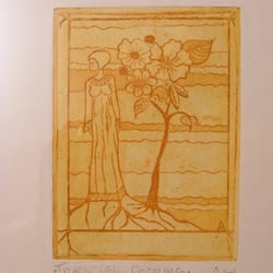 traum vom frühling : aquatintaradierung 2004