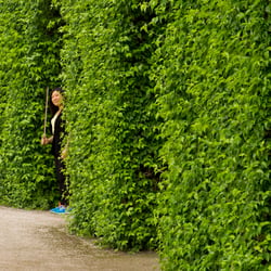 Tianwa Yang Mozart Würzburg a 3