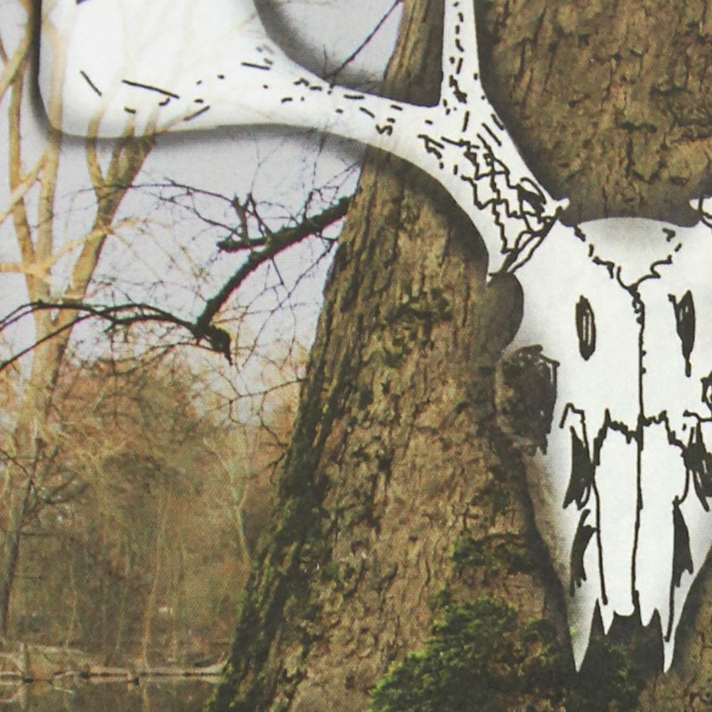 Märchen aus dem Spreewald
