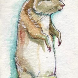 Taxidermy-03