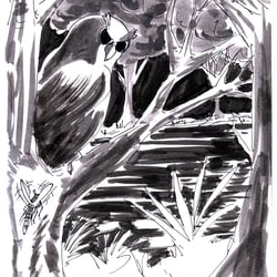 Illustration zu „Das magische Moor“ (2020)
