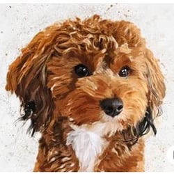 Hundeportrait2