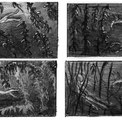 Storyboard