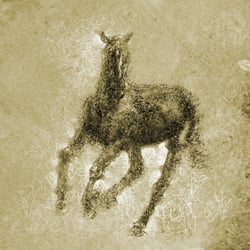 caballo hilos
