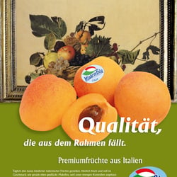 Konzept Kunst Anzeige3