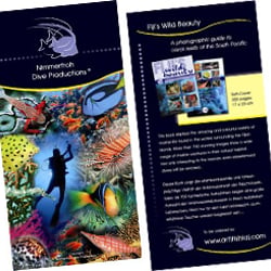 Flyer für Nimmerfroh Dive Productions