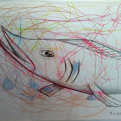 Colourful Fish