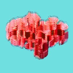 COMME des GARÇONS