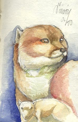Taxidermy-01