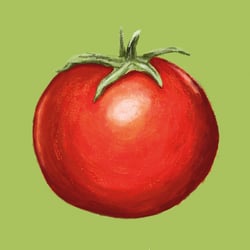 Tomate, digitale Illustration, 2020