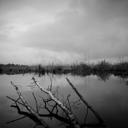 Naturpark Steinhuder Meer