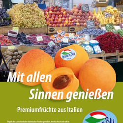 Konzept Markt Anzeige2