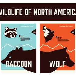Wildlife of North America