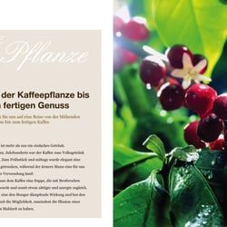 Themenseite aus dem Geschäftsbericht des fiktiven Traditionsunternehmens „Lady Coffee“