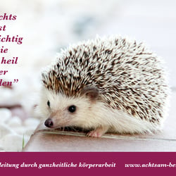 grafik und design round about print und web für www.achtsam-beruehrt-sein.de