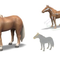 • 3D-Modeling : Spielzeugpferd „Palomino Hengst“