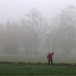 Begegnung im Nebel