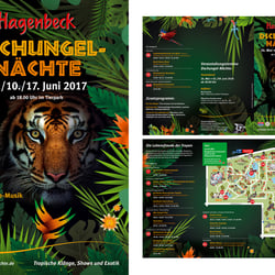 Plakat (CLP) + Flyer