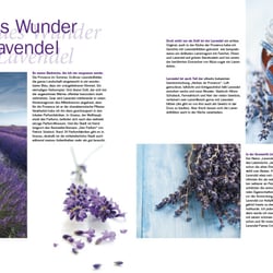3031 spoon 01.12 lavendel