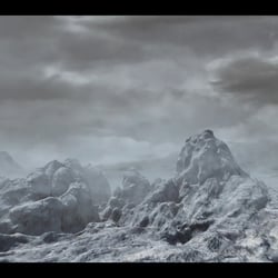 Environment
