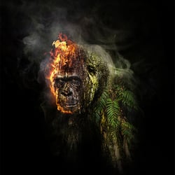 Stop Destroying the Rainforest – Photoshop Composing