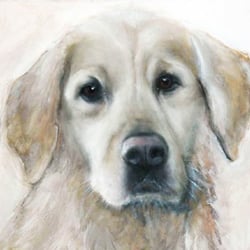 Acryl, Pastellkreide auf Leinwand   „Stanley“