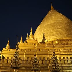 Pagoda at night