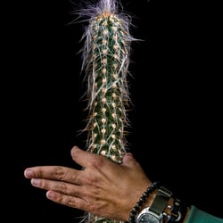 do not touch