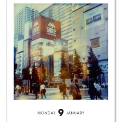 Poladarium 2012