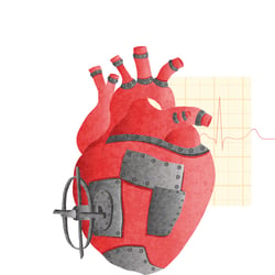 Mechanik of the heart