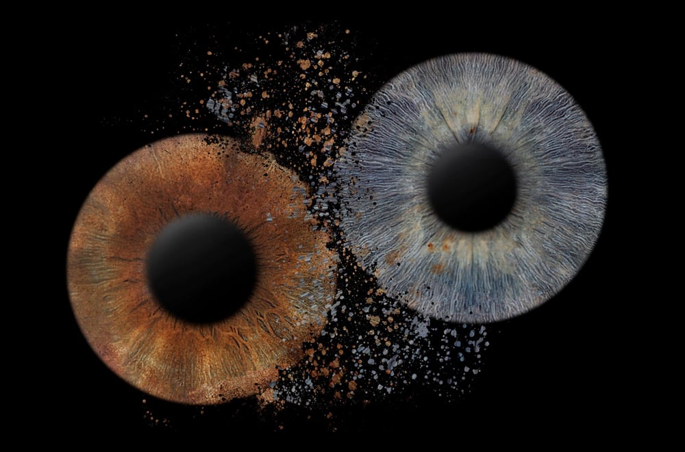 irisfoto Beispiel