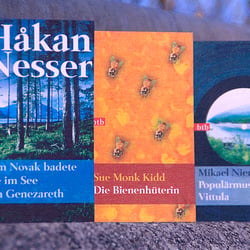 Reihe „Das besondere Taschenbuch“